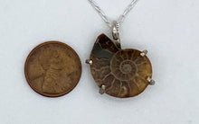 Load image into Gallery viewer, Ammonite necklace
