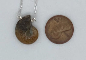 Ammonite and silver necklace