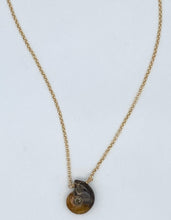 Load image into Gallery viewer, Ammonite and gold necklace
