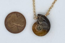 Load image into Gallery viewer, Ammonite and gold necklace
