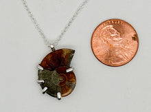 Load image into Gallery viewer, Ammonite necklace
