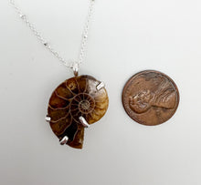 Load image into Gallery viewer, Ammonite and silver necklace
